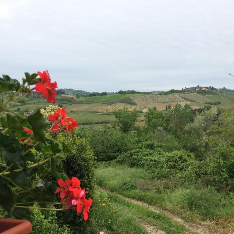 Casina Rosa Leilighet Certaldo Rom bilde
